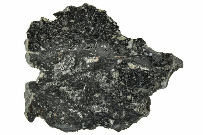 Polished Lunar Meteorite ( g) Section - NWA #312853